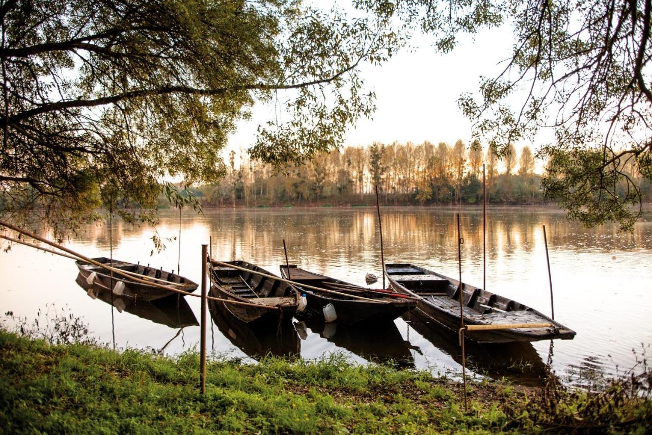 Auberge De La Caillere Cande-sur-Beuvron ภายนอก รูปภาพ
